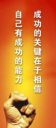麻骨风的功效与kaiyun官方网站作用副作用(壮骨风的功效与作用及用途)